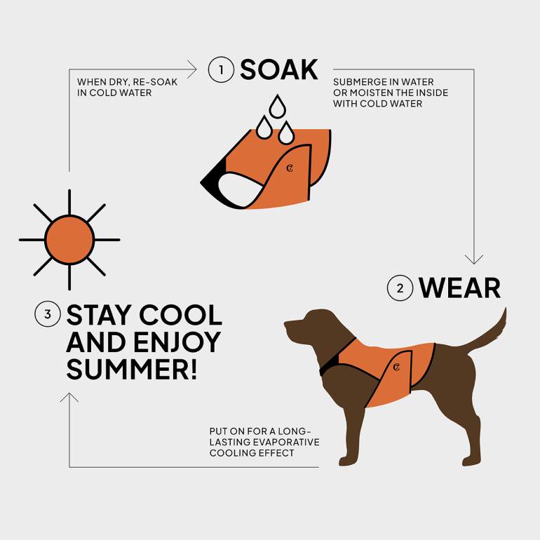 Dog Cooling Vest Iceland Neon Orange