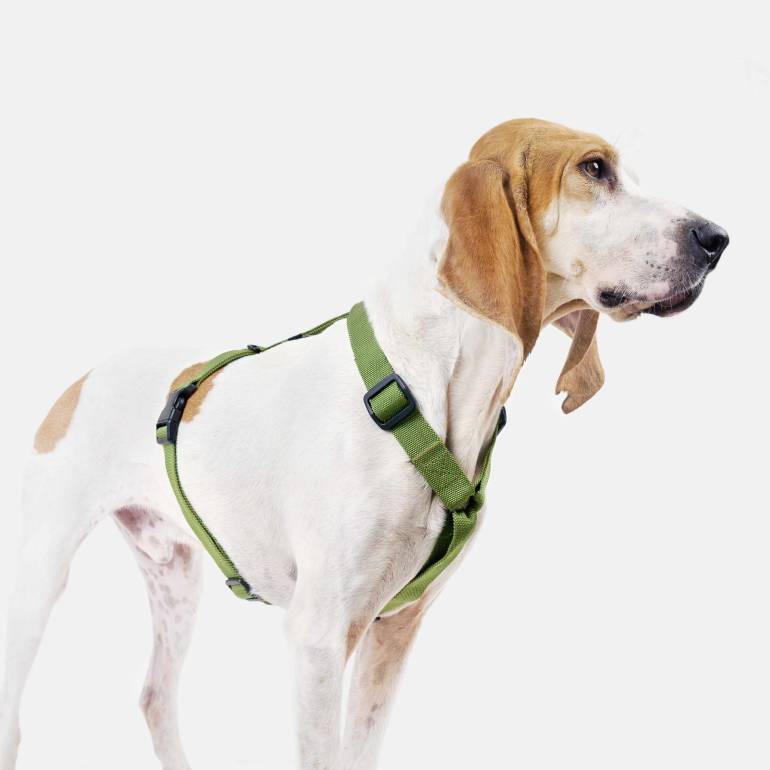 Nylon Y Dog Harness RESC7UE Green