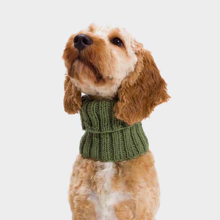 DIY Dog Loop Knitting Kit Sage
