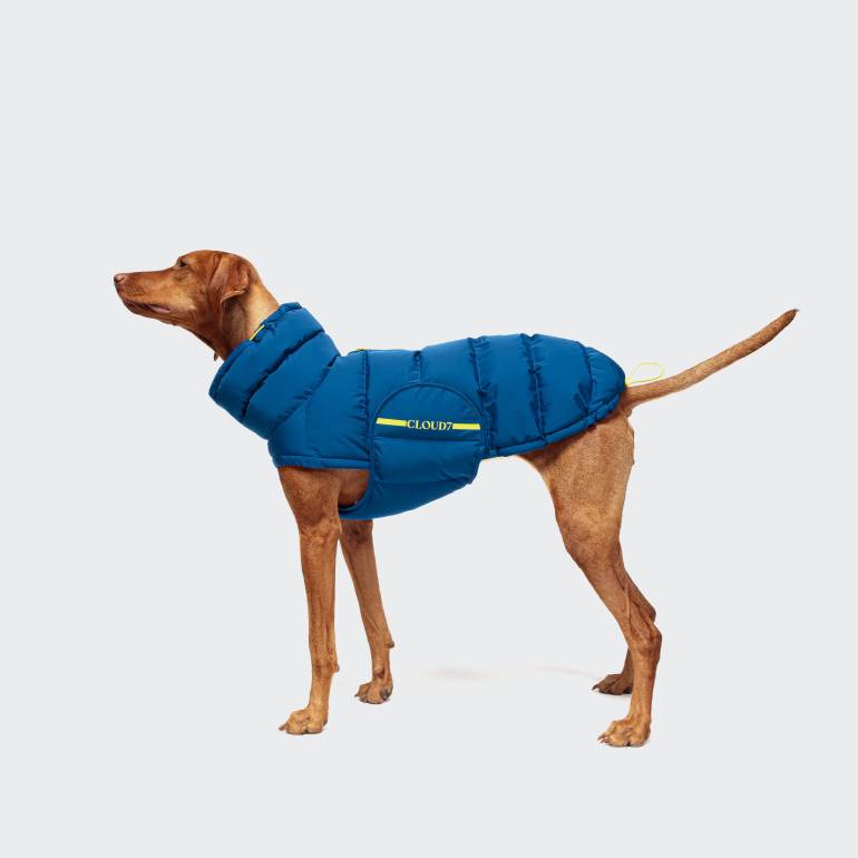 Dog Coat Alaska Blue