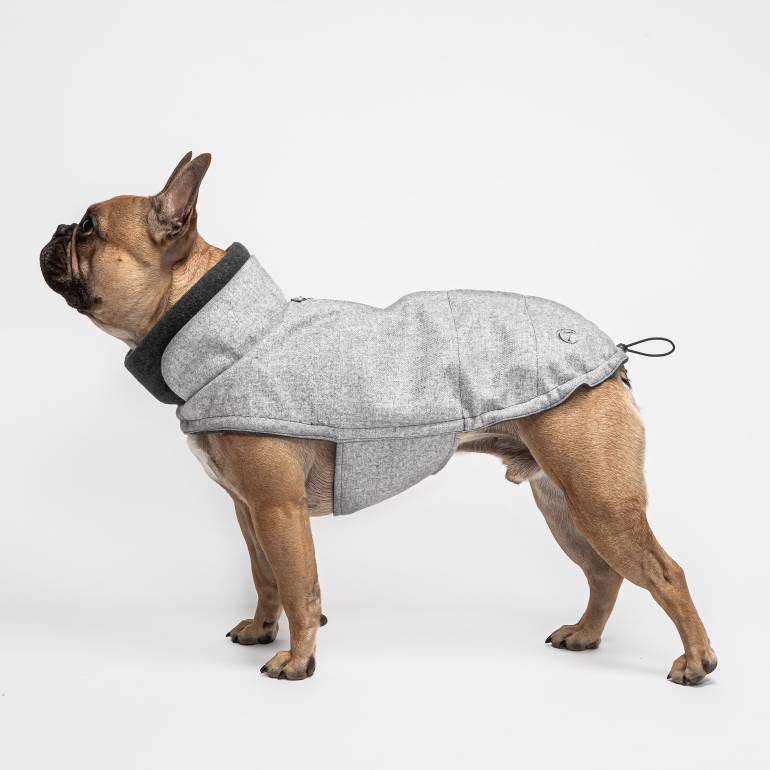 French Bulldog Coat Brooklyn Flannel Grey