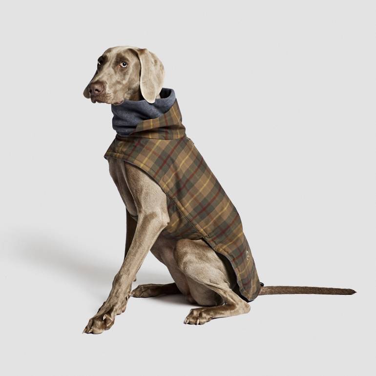 Dog Coat Brooklyn Waxed Tartan