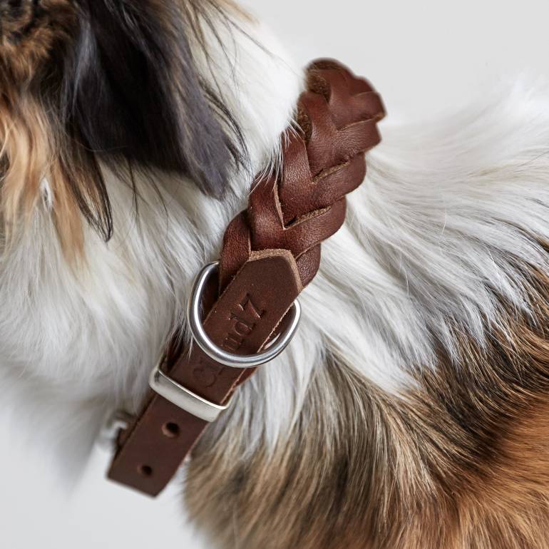 Closed braided leather collar in brown leather with silver buckle