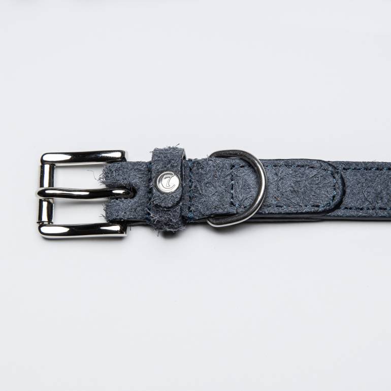 Blue dog collar made of structured suede leather