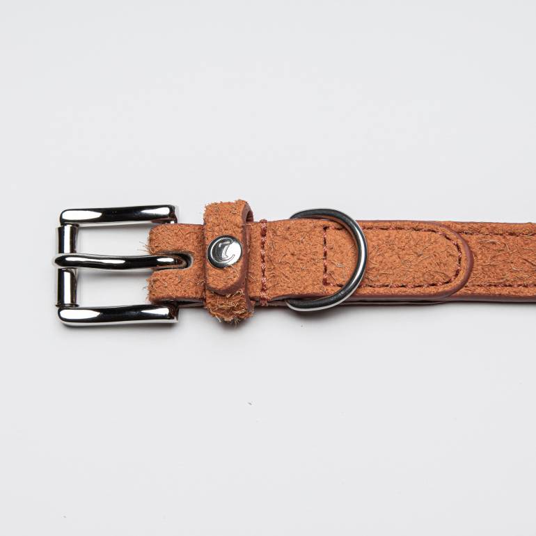 Orange suede leather dog collar