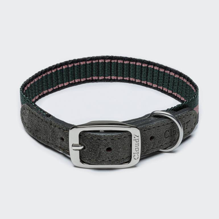 Sporty dog collar with green and pink stripes and grey suede