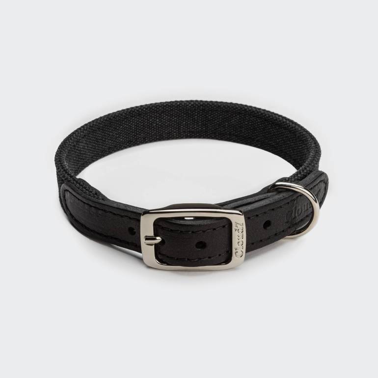 Schwarzes Hundehalsband aus Stoff an weißem Mischling