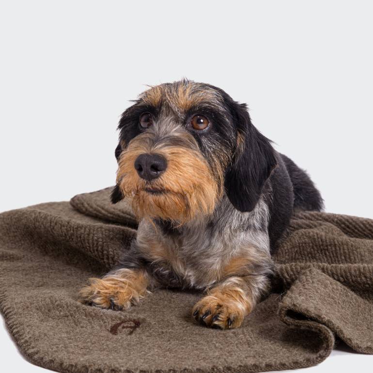 Dog Blanket Mohair Truffle