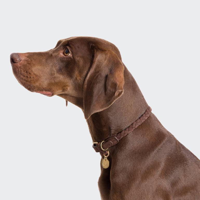 Dog Collar Ravello Hazel