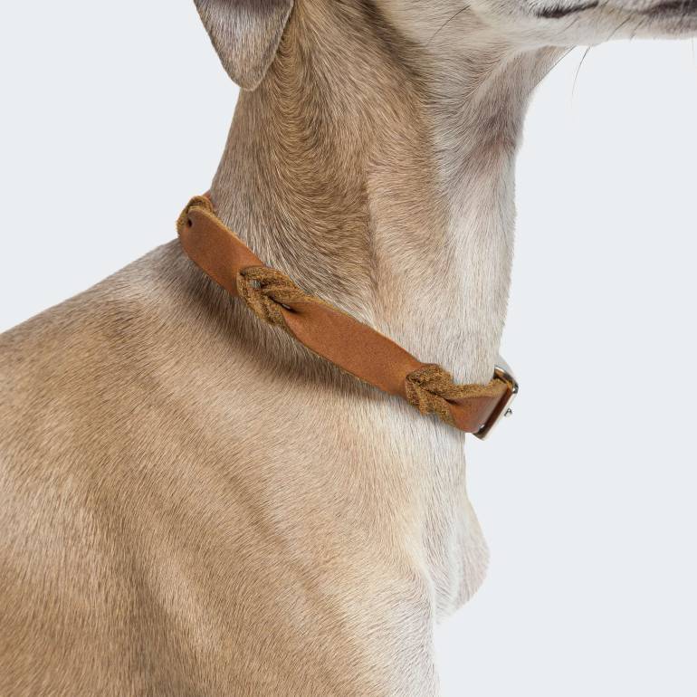 Dog Collar Riverlino Camel Silver