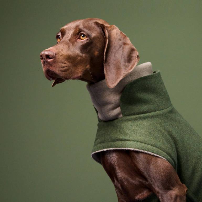 Dog Coat Brooklyn Flannel Fern Green