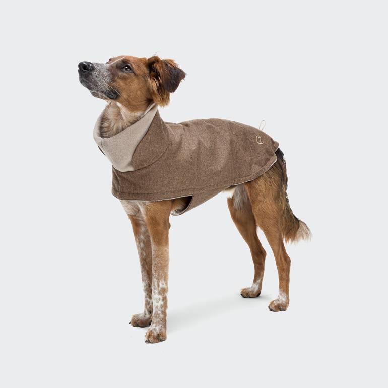 Dog Coat Brooklyn Flannel Hazel