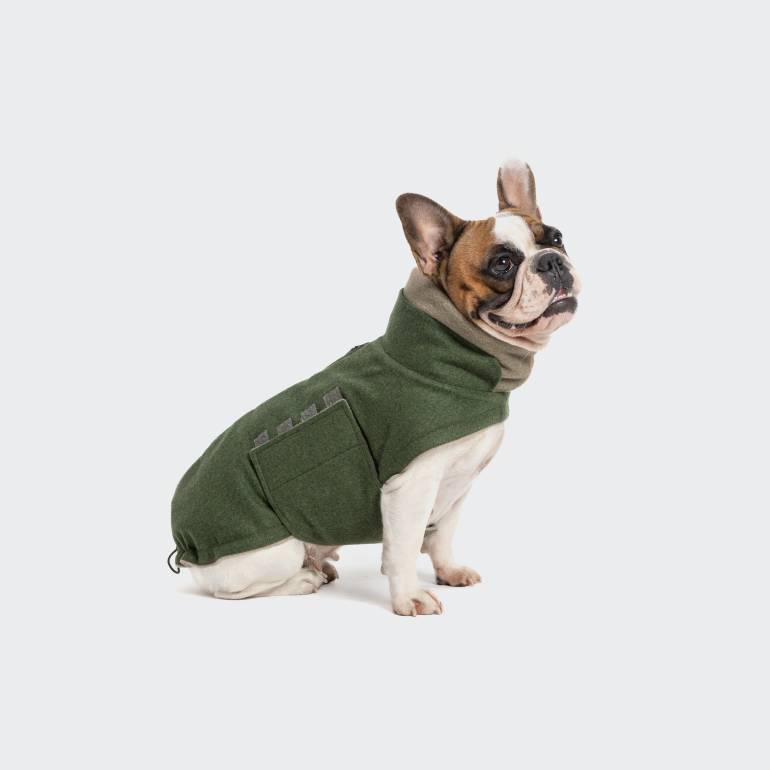 French Bulldog Coat Brooklyn Flannel Fern Green
