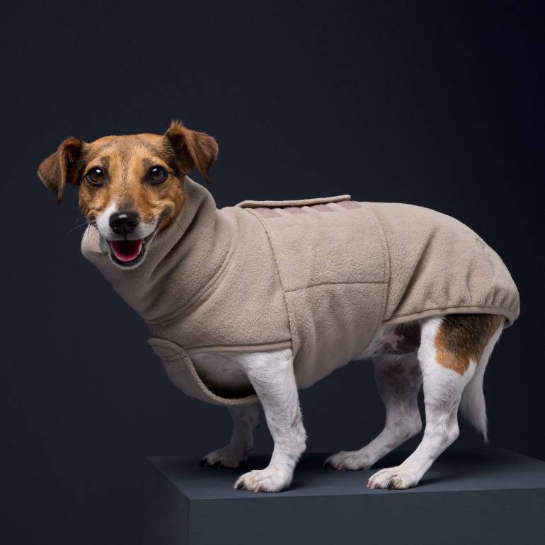Dog Sweater Fleece Derby Beige