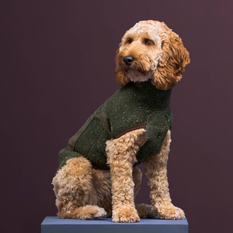 Dog Sweater Dorset Bottle Green