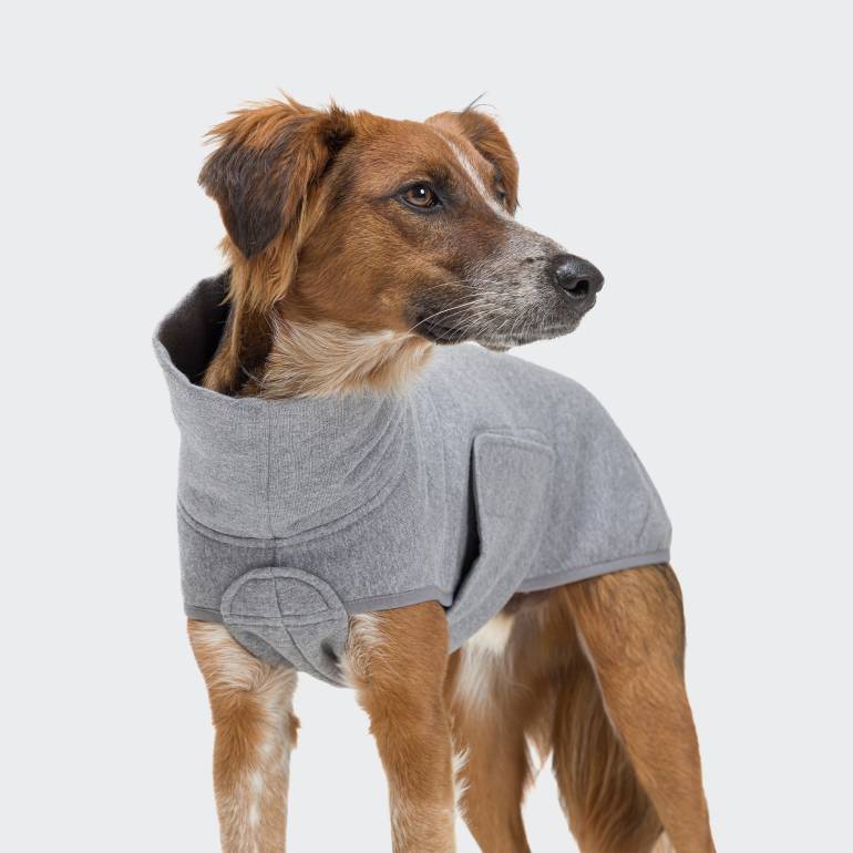 Dog Sweater Dorset Grey Mélange