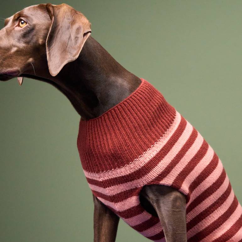 Dog Sweater Helsinki Blush/Rust