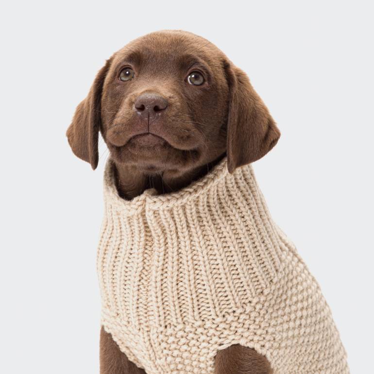 Dog Sweater Oslo Beige