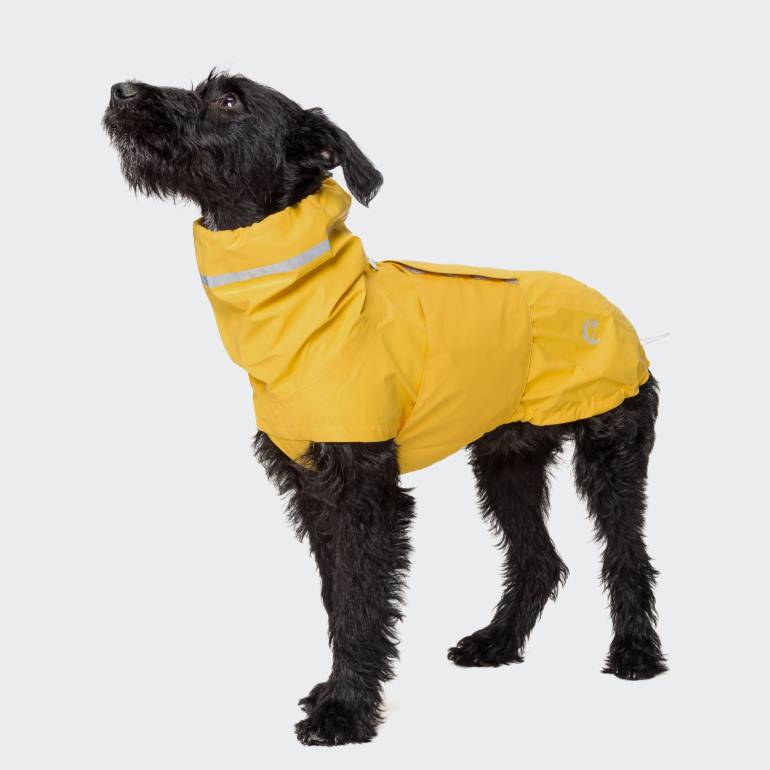 Dog Raincoat Hamburg Saffron