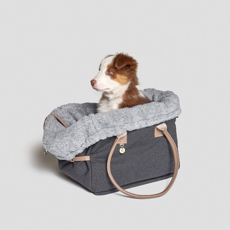 Award winning dog carrier with leather handles