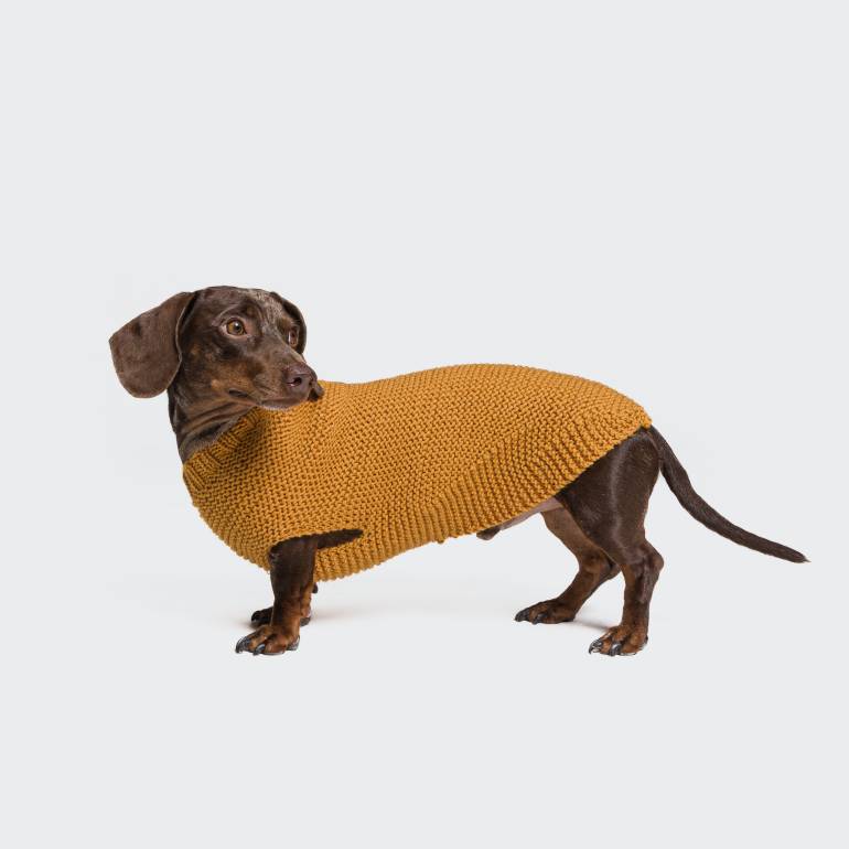 DIY Dog Sweater Knitting Kit Curry
