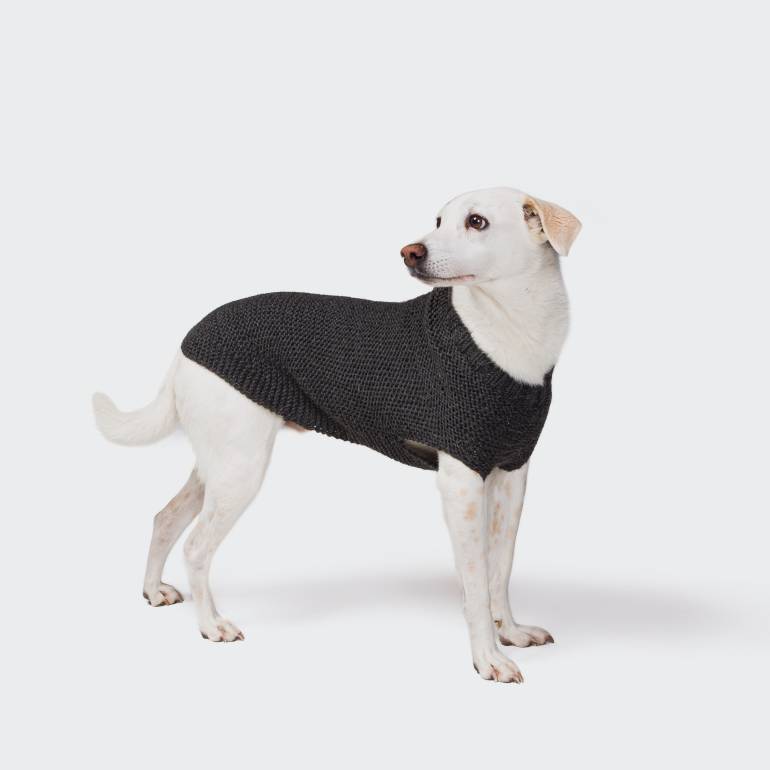 DIY Dog Sweater Knitting Kit Stone