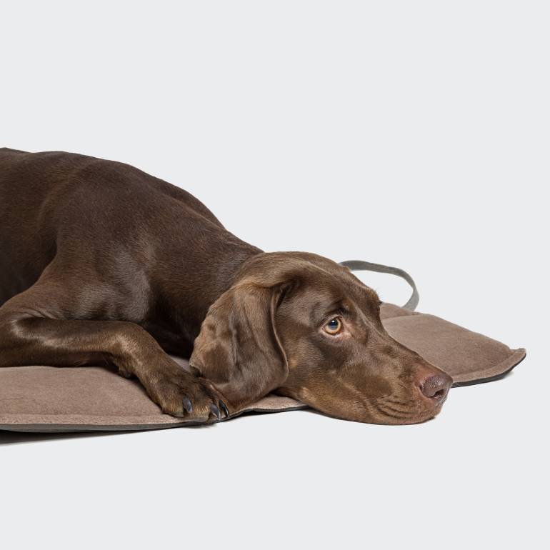 foldable dark grey fleece dog travel bed
