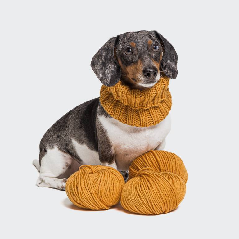 DIY Dog Loop Knitting Kit Curry