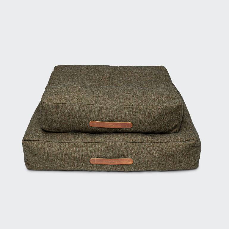 Ridgeback and French Bulldogg on a large olive dog bed