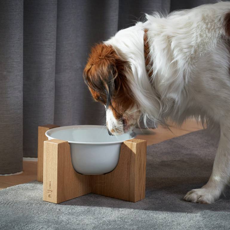 KPM x Cloud7 Elevated Dog Bowl with Wooden Stand Short