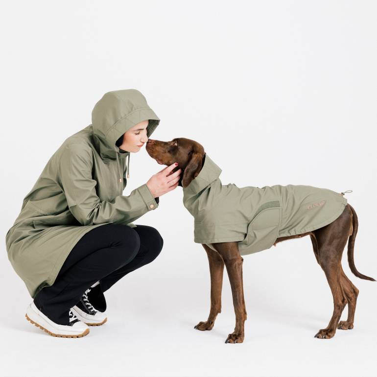 Dog Raincoat Lewis Olive