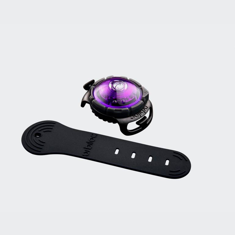 Orbiloc Dog Dual™ Safety Light Purple