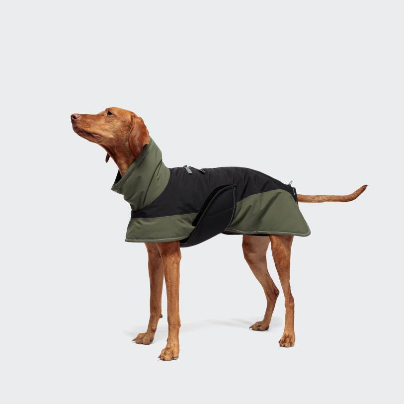 Dog Winter Coat Everest Black/Olive