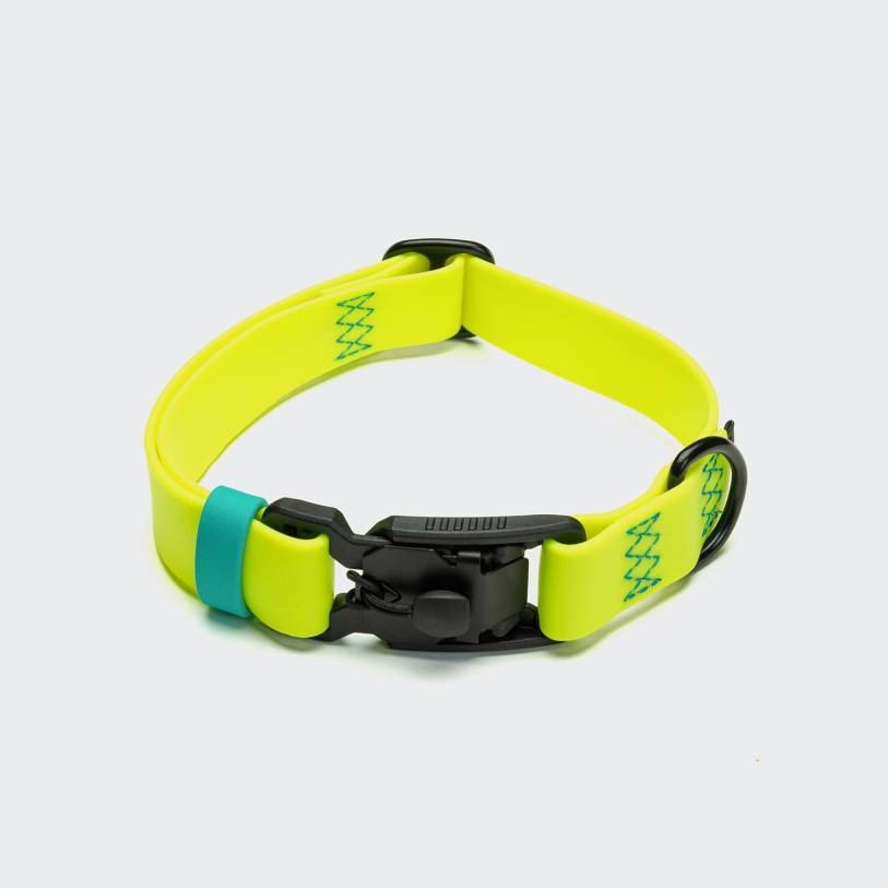 Dog Collar BioThane Ipanema Neon Yellow-Aqua