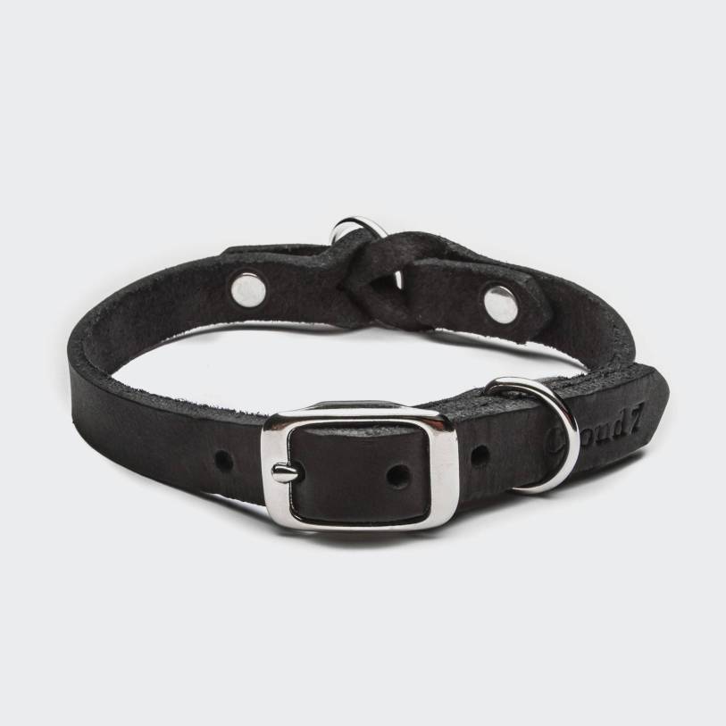 Dog Collar Riverside Park Black Silver