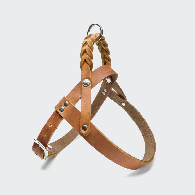 Harness Central Park Camel Silver