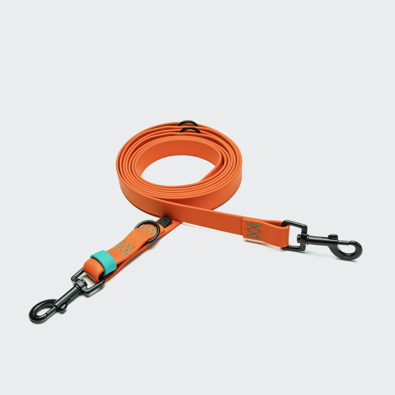 Adjustable Dog Leash BioThane Ipanema Orange-Aqua