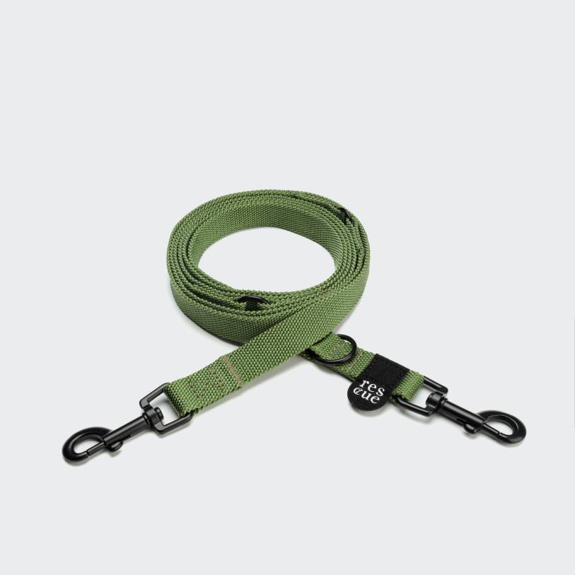 Nylon Dog Leash RESC7UE Green