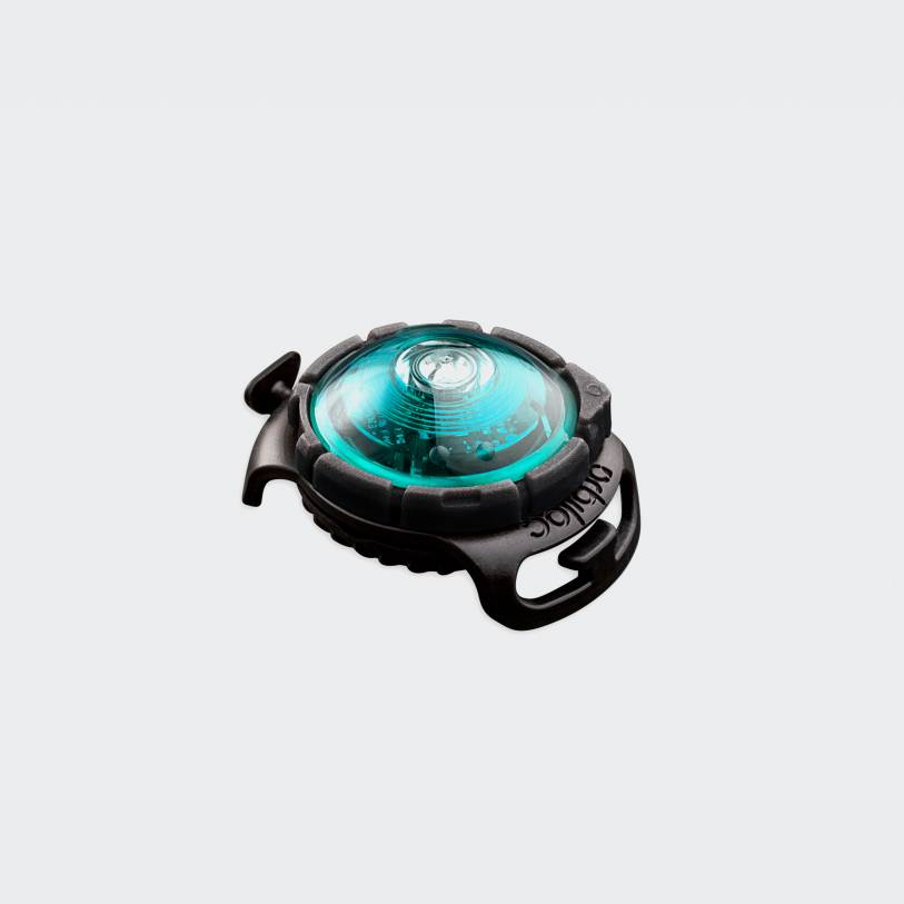 Orbiloc Dog Dual™ Safety Light Turquoise
