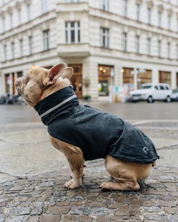 French bulldog with a Cloud7 Dog Raincoat London FR. BULLDOG Slate