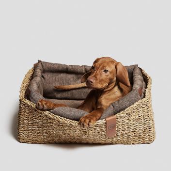 Dog Baskets