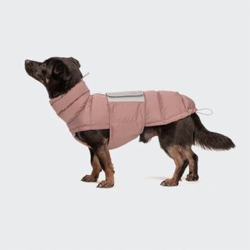winter coats for dogs