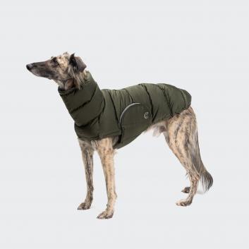 Sighthound Coats