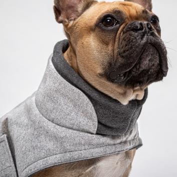 Dog Coat French Bulldog