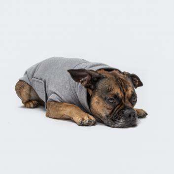Cloud7 Dog Sweater