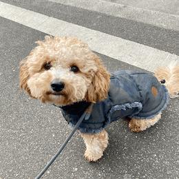 Bao <br> Dog Coat Yukon Camouflage 