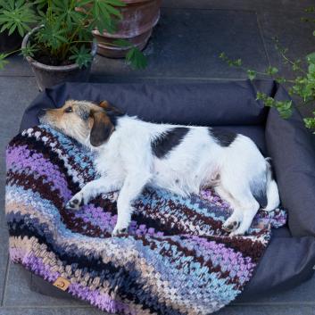 Hund liegend im Hundebett Sleepy Graphit Outdoor mit einer Cloud7 Hundedecke Woodstock