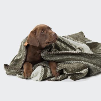 Dog Blankets and Mats