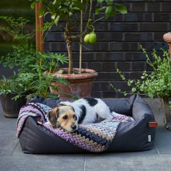 Dog laying on a Cloud7 Dog Blanket Woodstock in a Dog Bed Sleepy Graphit Outdoor