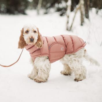 Cloud7 Winter Dog Coats - Dog Coat Alaska Dusty Rosé